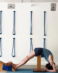 Viparita dandasana stump