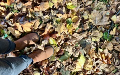 November 25 | Bad weather? Yoga weather!